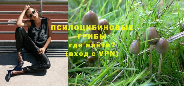 2c-b Россошь