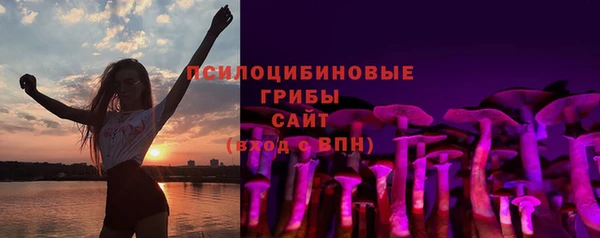 спиды Рославль