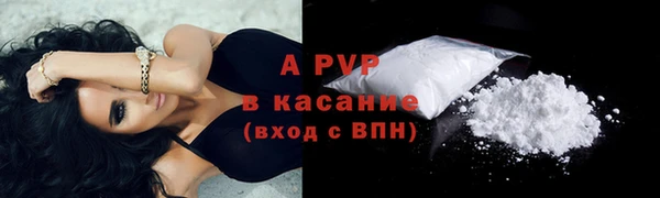 спиды Рославль