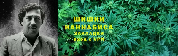 спиды Рославль