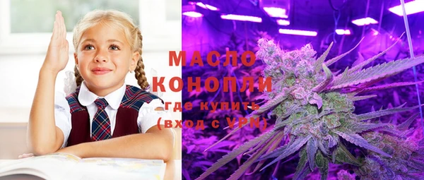 гашик Дедовск