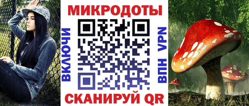 как найти   Тарко-Сале  Псилоцибиновые грибы ЛСД 